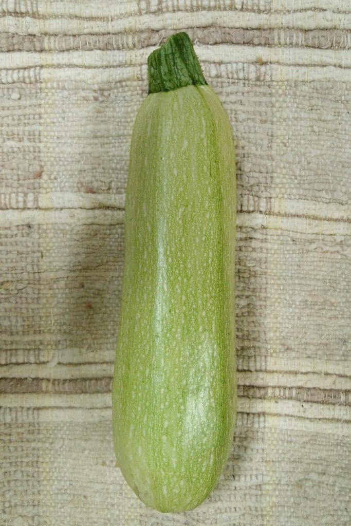 Abobrinha Hibrida Catharina