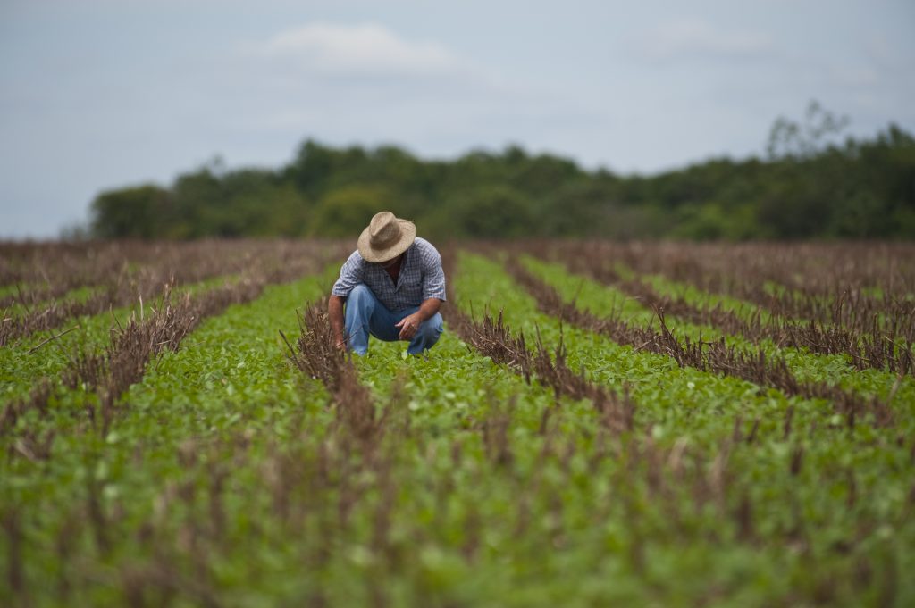 Vídeos Da Embrapa Destacam Benefícios Do Sistema De Plantio Direto Canal Do Horticultor Cases 8106