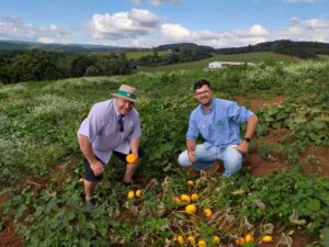 quantos jogos para crianças com campo de colheita de abóbora e