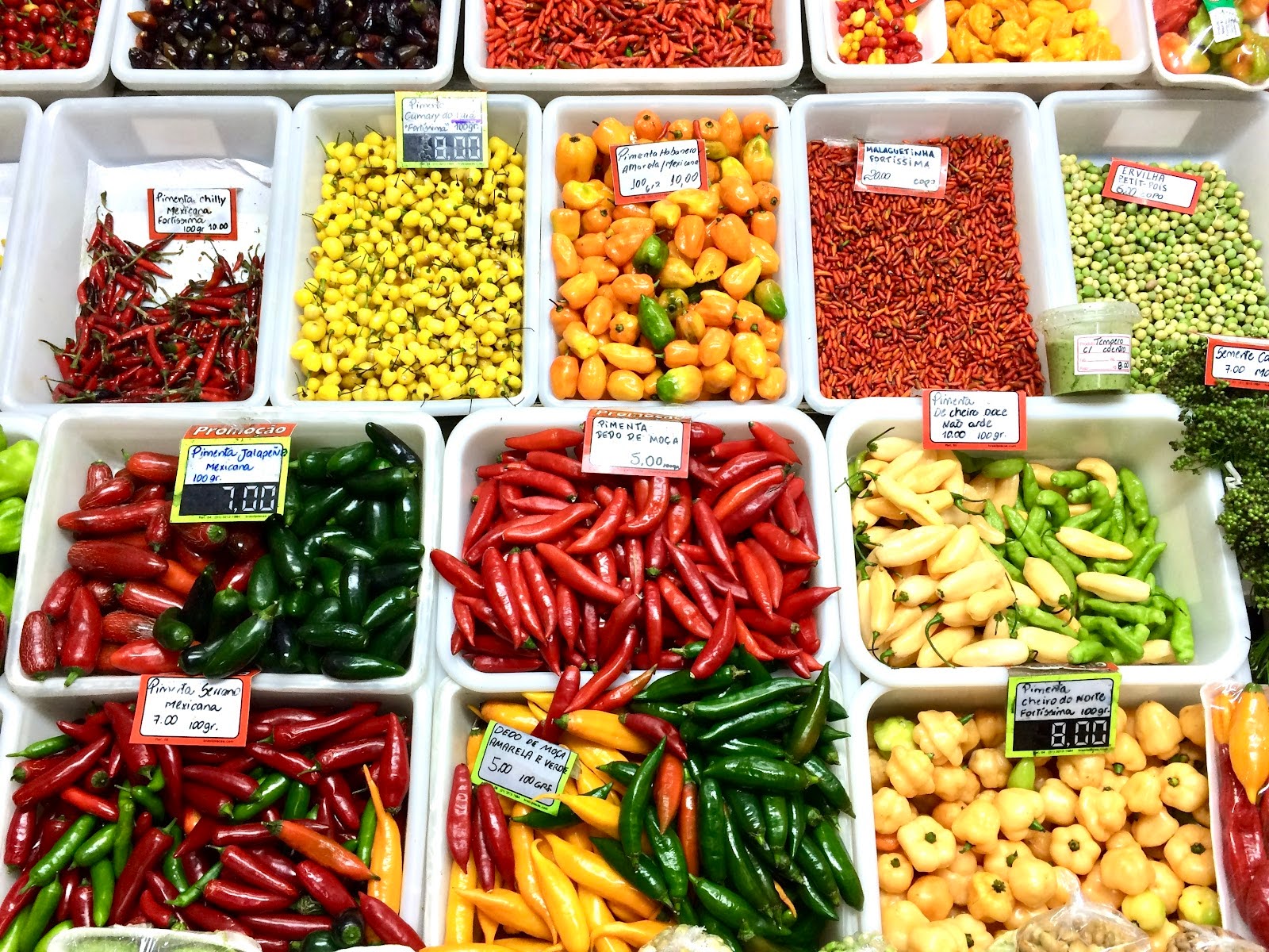 Manejo profissional de pimentas: como alinhar produção e mercado